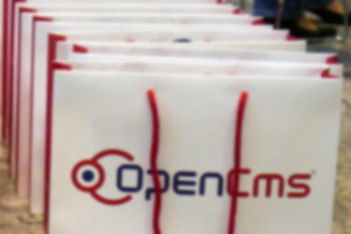 Several OpenCms bags standing in a row